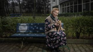 Huzurevi sakinleri patili dostları için "kedi huzurevi" kurdu