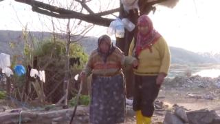 Anne ve kızın ıssız adadaki yaşam mücadelesi