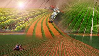 Türkiye'de Organize Tarım Bölgesi 43’e ulaştı