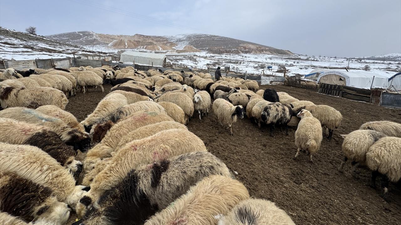 Gece ağılda nöbet