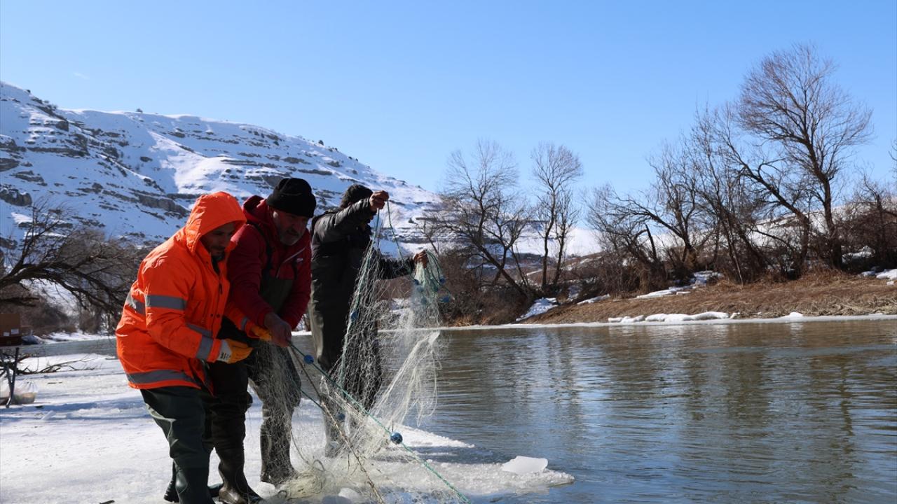 Ağaç dallarıyla buza vurarak balıkların ağlara takılmasını sağlıyorlar