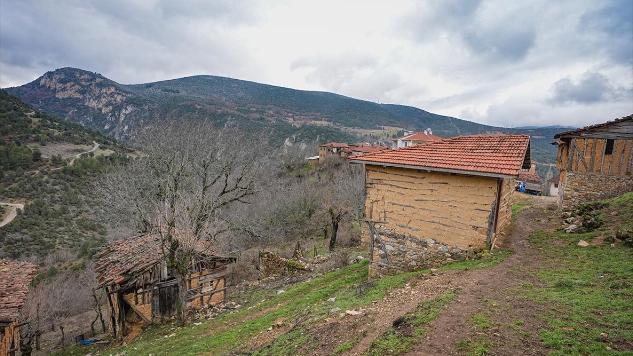 Ne var ne yok. Ne var ne yok