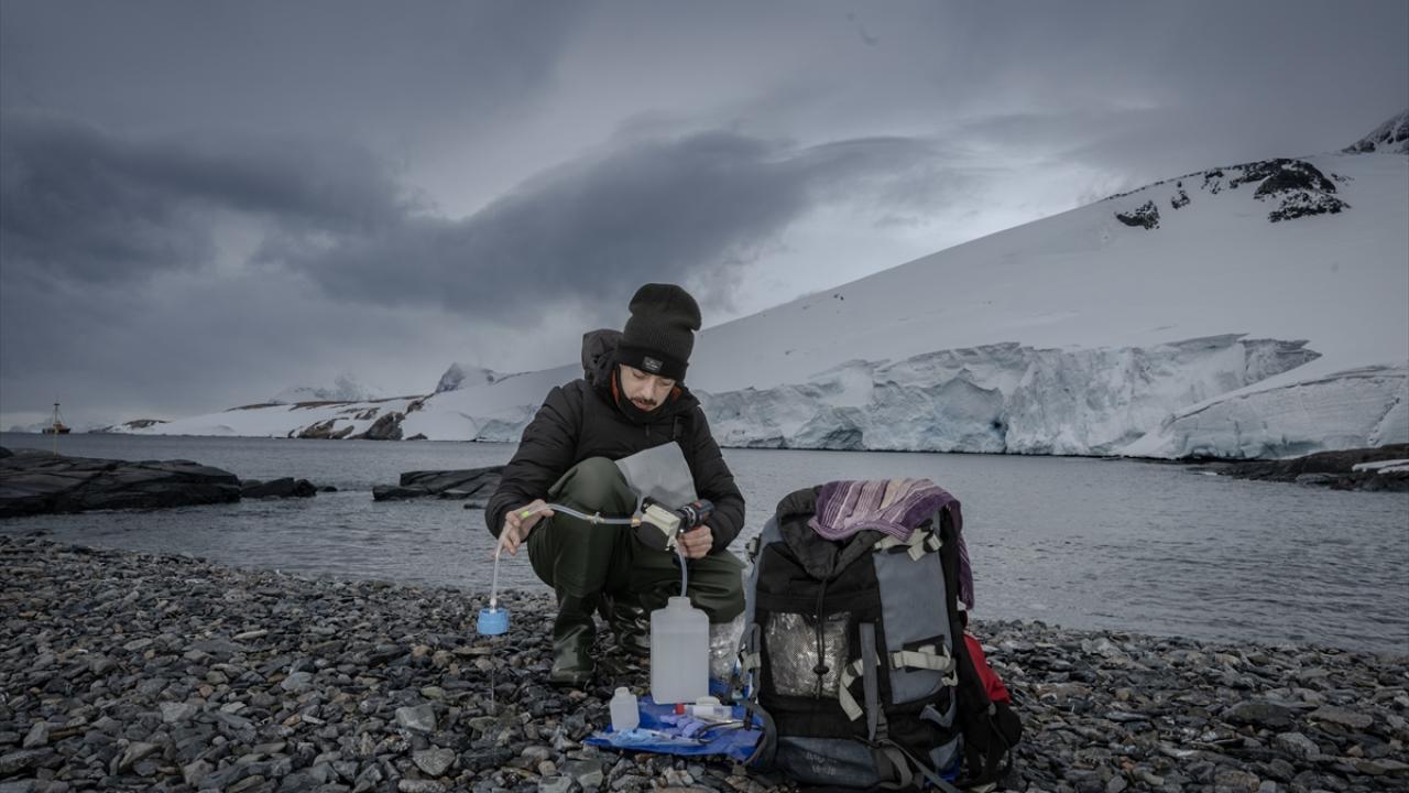Horseshoe Adası`nda flora ve faunanın korunması için önlemler alındı