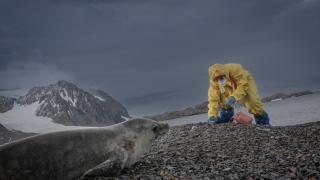 Antarktika Türk Bilimsel Araştırma Kampı'nda çalışmalar başladı