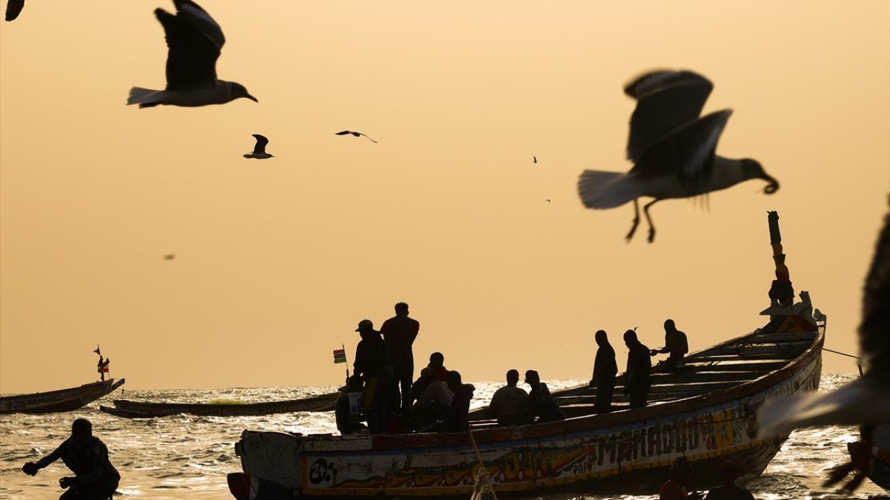 Martıların eşliğinde taze balık