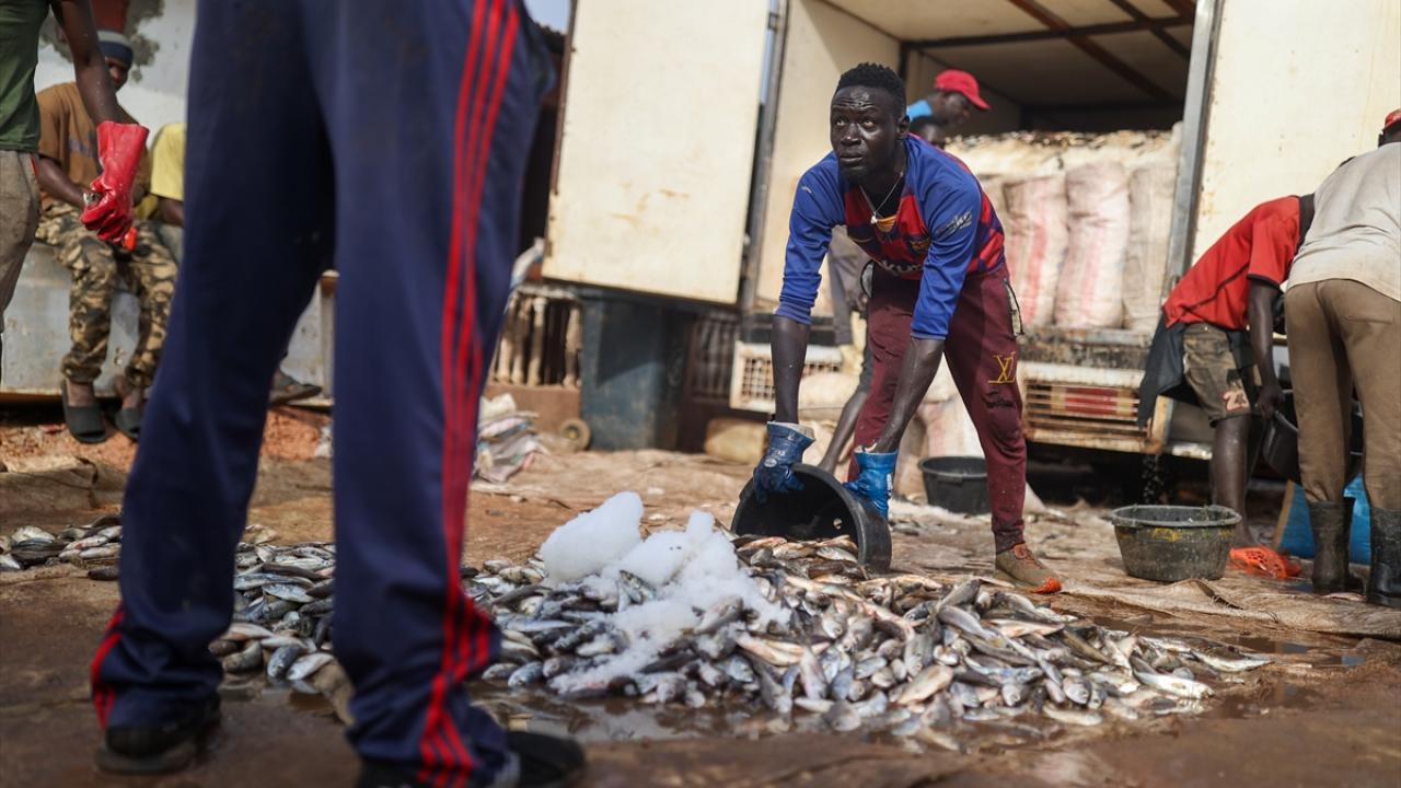 Balıkçılık sektörü, GSYİH`ye yüzde 12 katkı sağlıyor