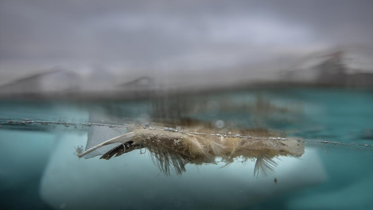 "Hedefimiz kıyı bölgesindeki mikroorganizmaları ortaya çıkarmak"