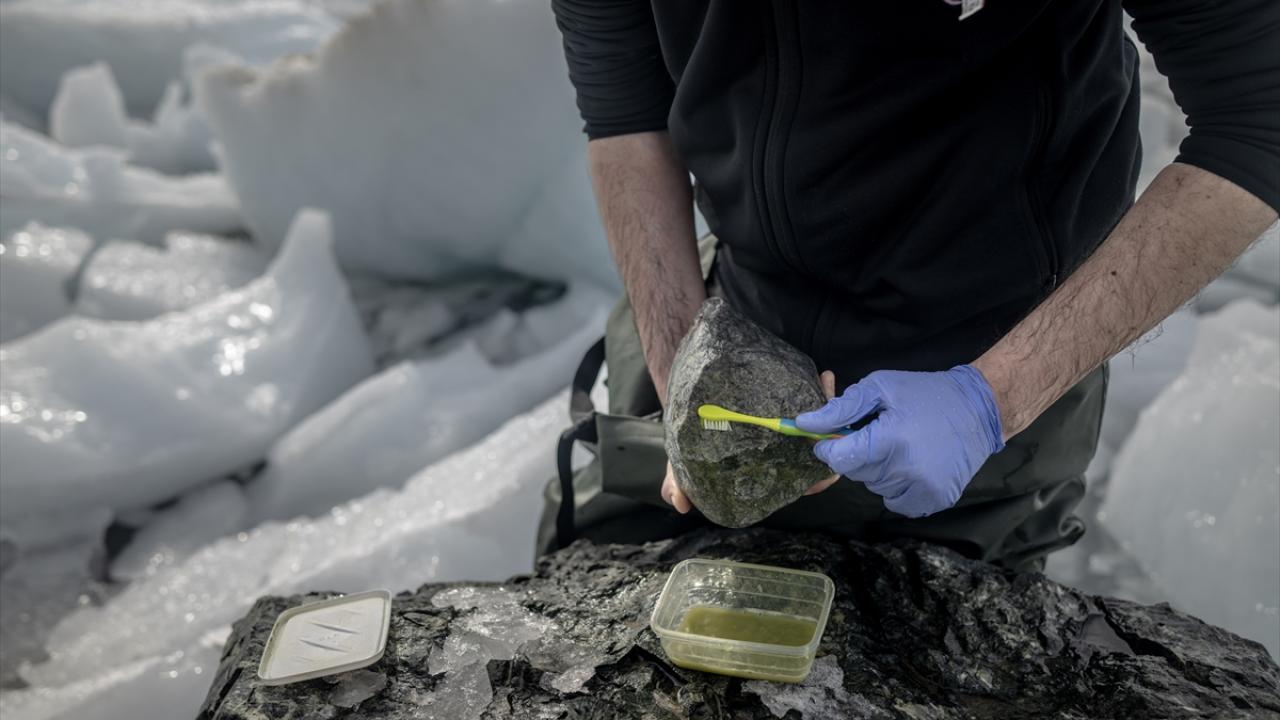 "Hedefimiz; canlıların sağlığını korumak amacıyla koruyucu tedbirlerin alınmasını sağlamak"