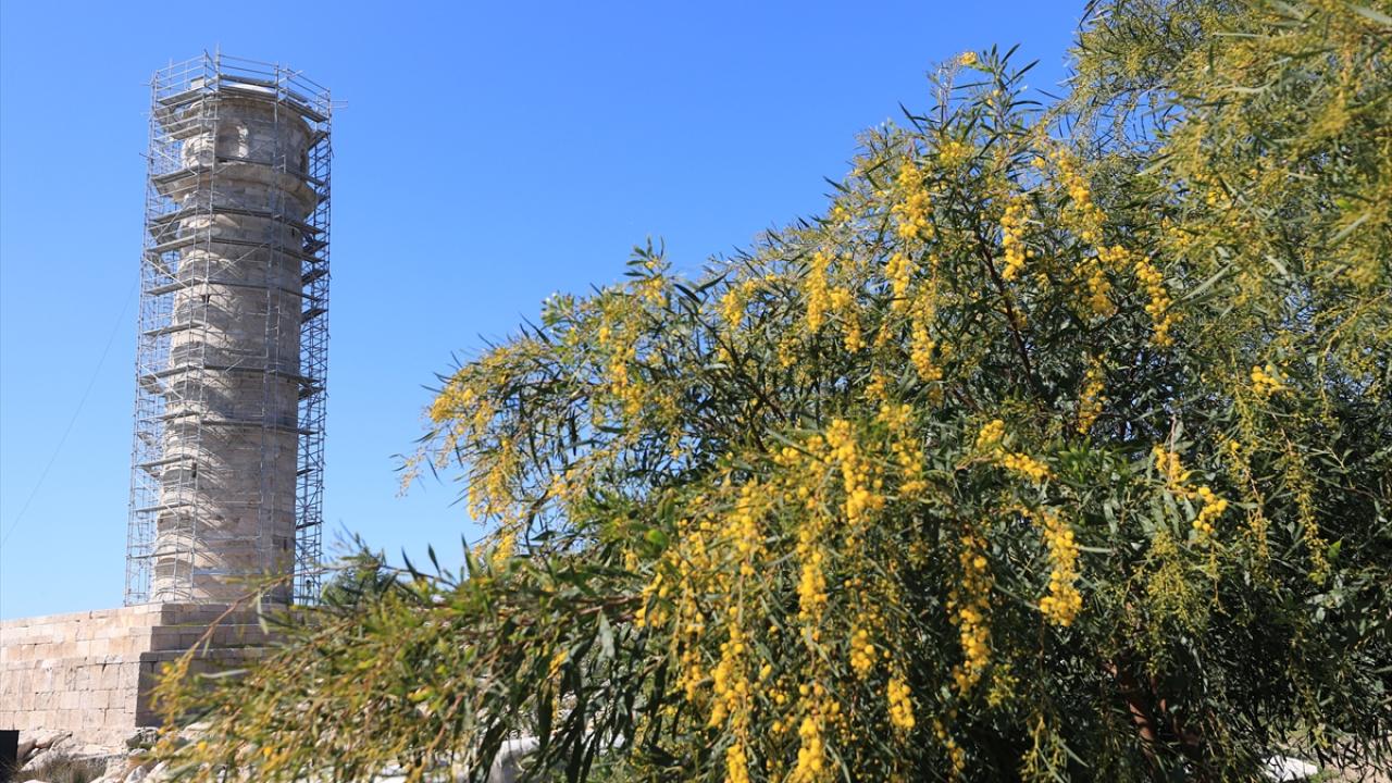 "Fener, 1300 yıl ayakta kalmış"
