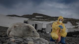 Antarktika'da insanların sucul ekosistemlere etkisi araştırıldı