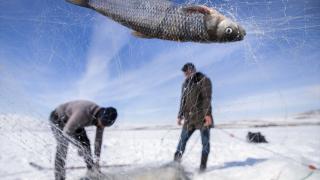 Yüzeyi donan Çıldır Gölü'nde ''Eskimo usulü'' balık avcılığı