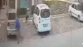 Sahipsiz köpeğin saldırısında yaralanmıştı: Silivri Belediyesi ile İBB'den tazminat kazandı