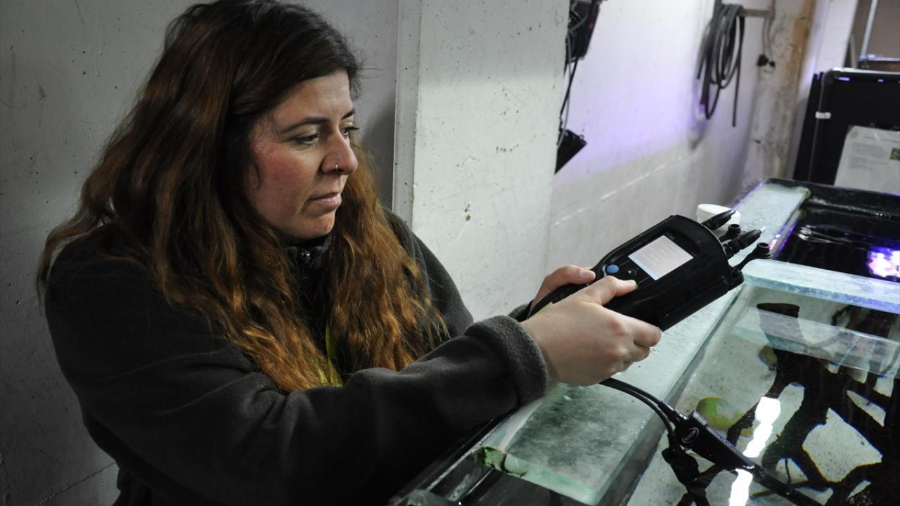 "En iyi koşullarda barındırarak doğaya salmayı amaçlıyoruz"