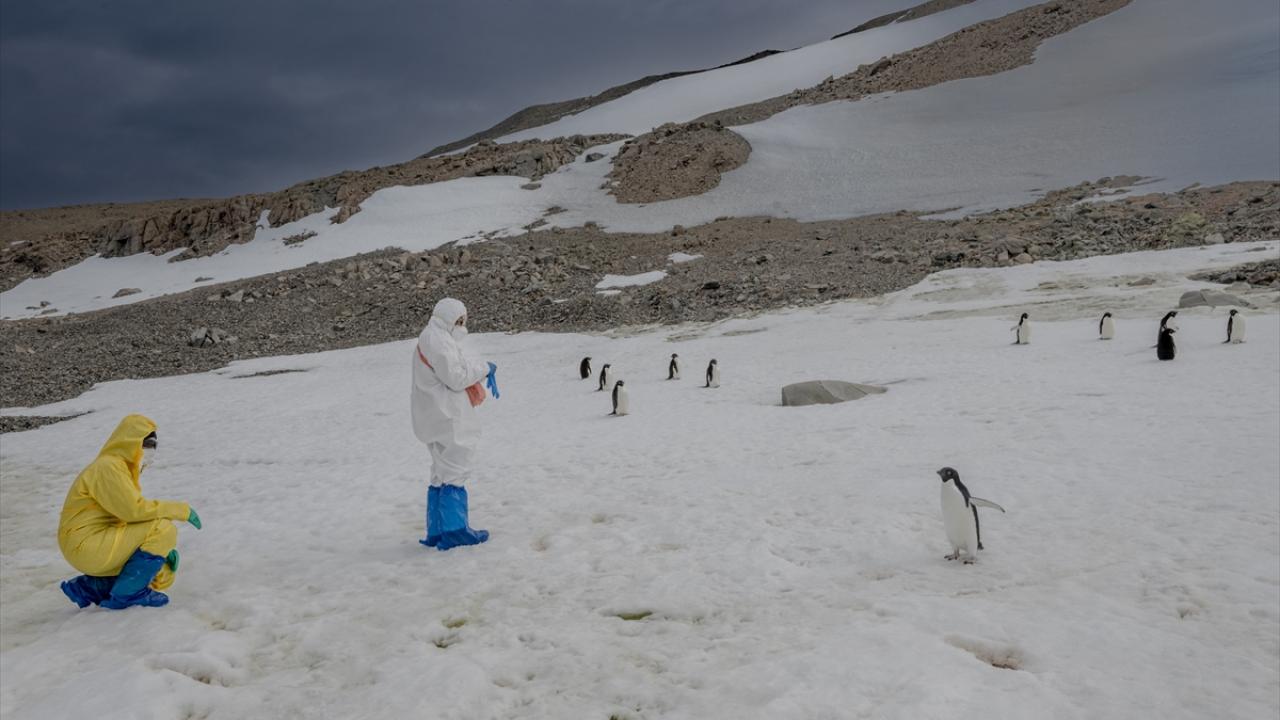 "Hem kendimizi hem de doğal yaşamı korumak için önlemlerimizi alıyoruz"