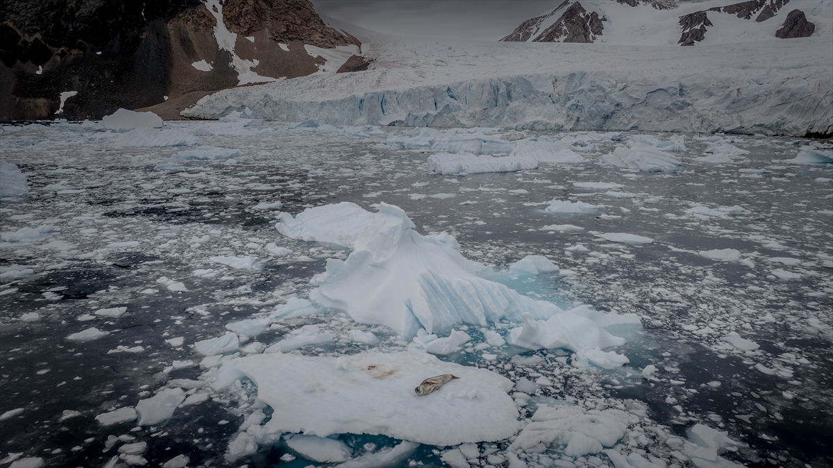 "Kıtanın tamamen ziyarete kapatılması şimdilik söz konusu değil"