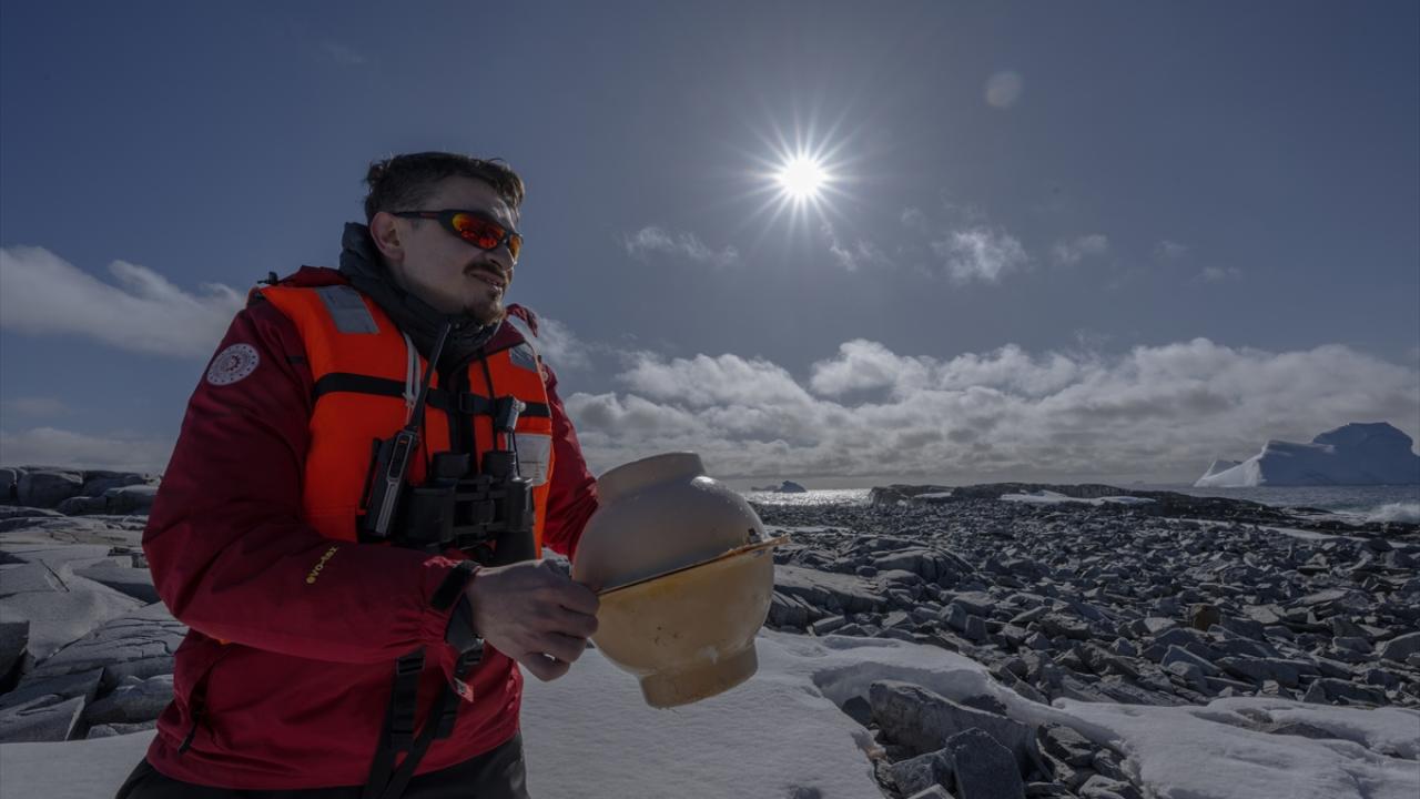 "Kirlilik penguen ve fokların toplu ölümlerine yol açabilir"