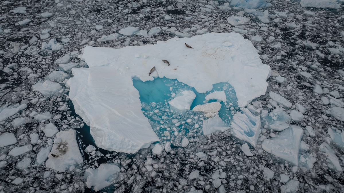 "Elbise, koruyucu ve gözlük gibi önlemler alıyoruz"