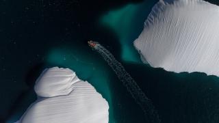 Kuş gribi ve insan kaynaklı kirleticiler Antarktika’nın geleceğini etkiliyor