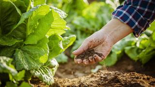 Kırsal kalkınma projelerine hibe desteği