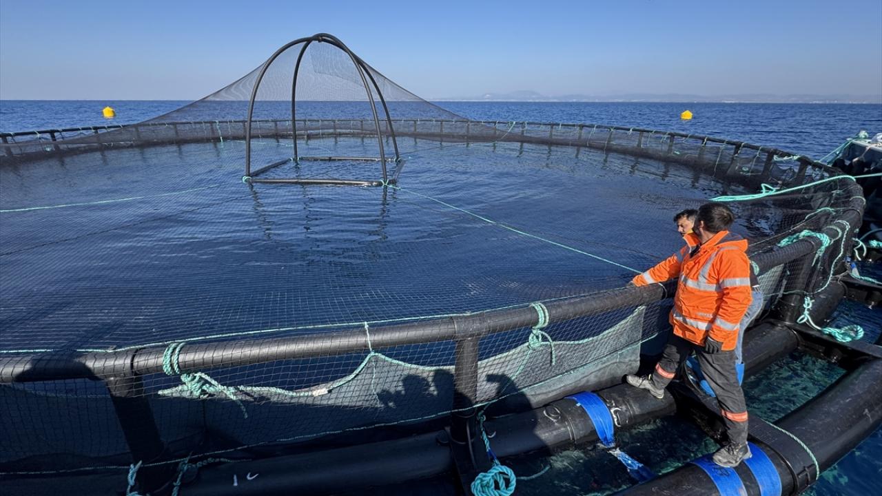 Yetiştiricilikten elde edilen balık 10 kat artacak