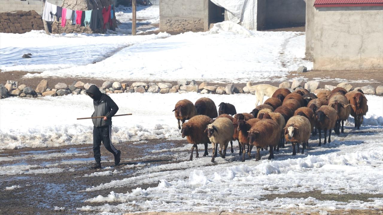 "Tipi de kar da olsa hayvanlarımızı derede suluyoruz"
