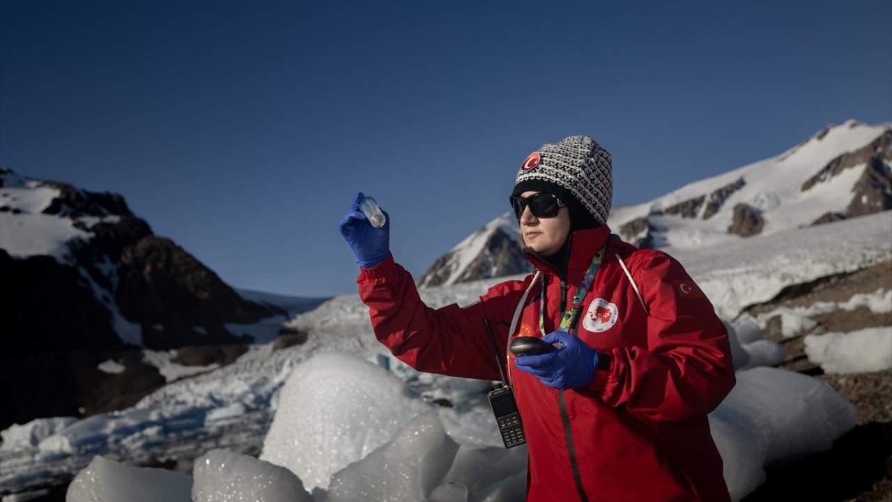 Horseshoe Adası`nda flora ve faunanın korunması için önlemler alındı