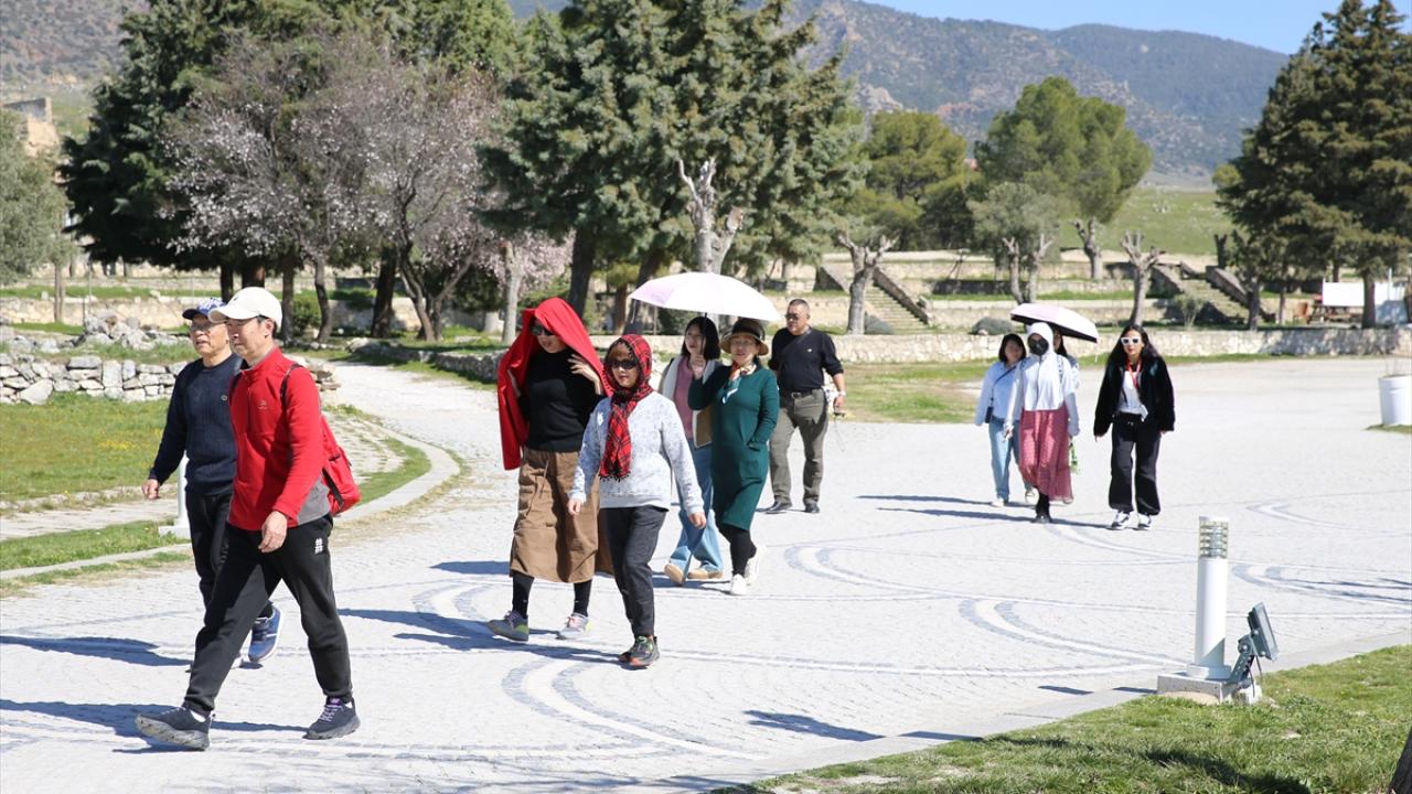 Ziyaretçi sayısı yükselişte