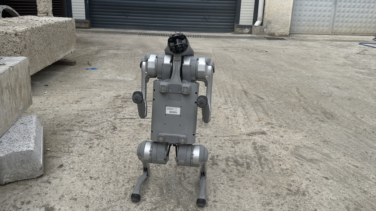 Yapay zeka hasar türlerini tespit edebiliyor