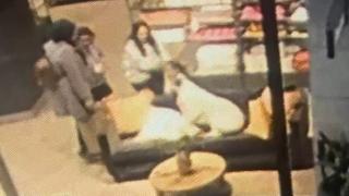 AVM'deki başıboş köpek 3 yaşındaki çocuğa saldırdı