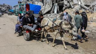 Gazze'de yakıt krizi nedeniyle ulaşım at ve eşek arabalarıyla sağlanıyor