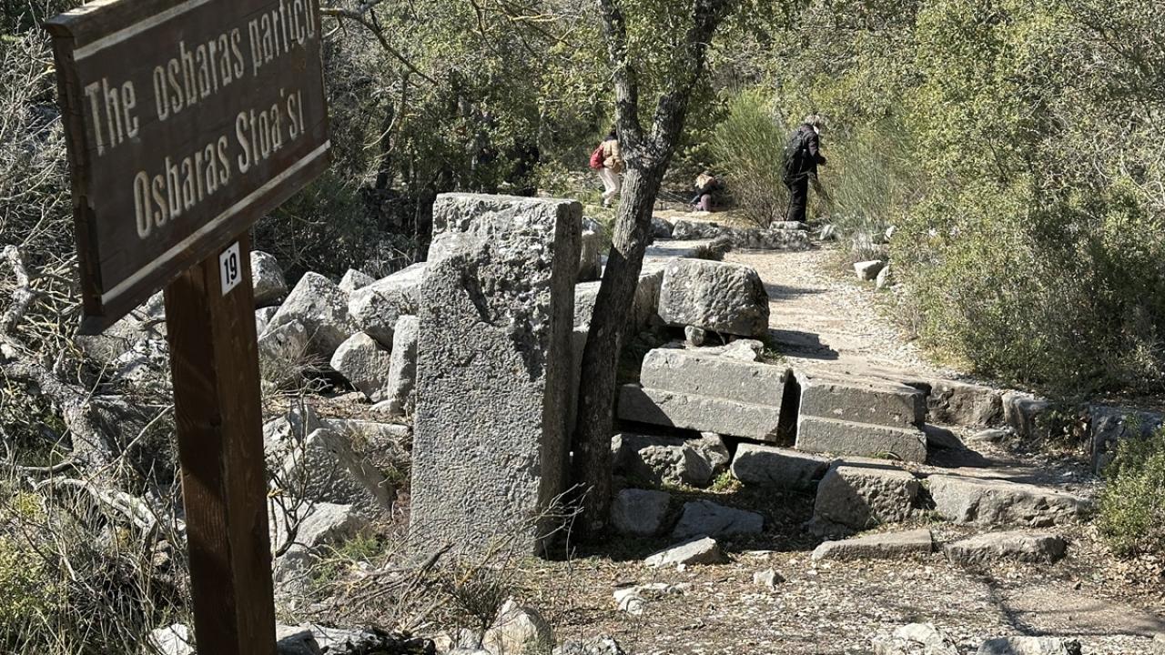 "Acenteler programına almaya başladı"