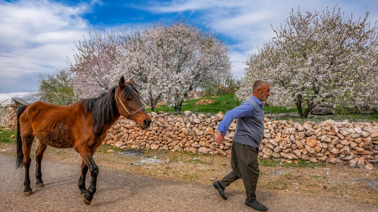 "Köyümüzün manzarası çok güzel"
