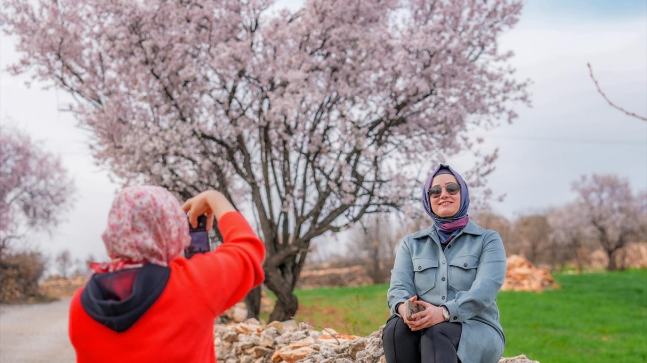 "Umarım herkes gelir ve buraları görür"