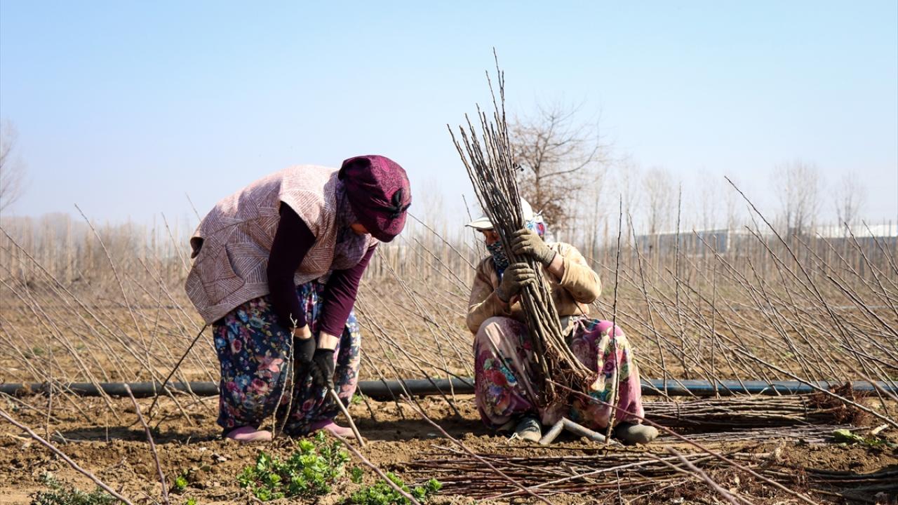 Daha çok ihracat için çalışmalar yapılıyor