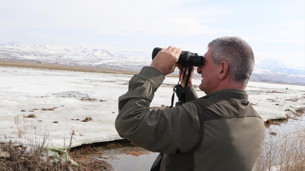 "Kaçak avcılarla kış sezonunda yoğun mücadele ediyoruz"