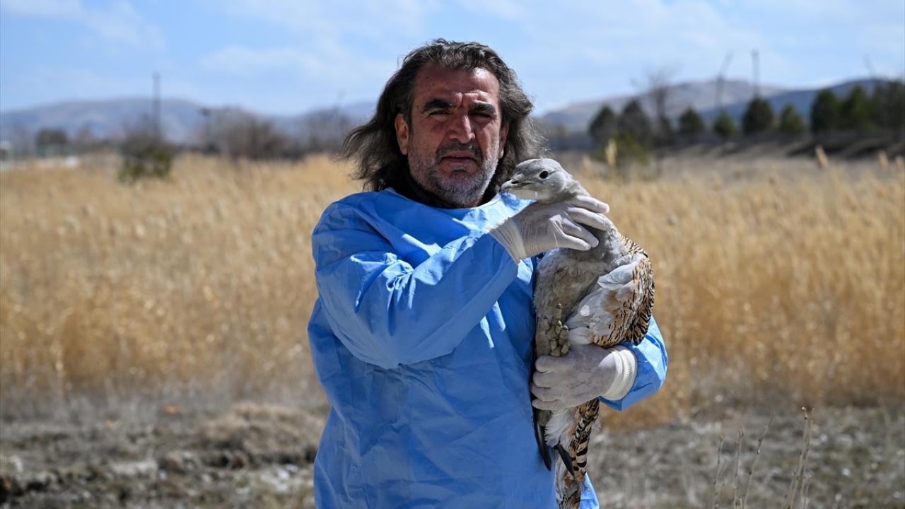 "Bölgemizde sayıları yüzlü rakamlara düştü"