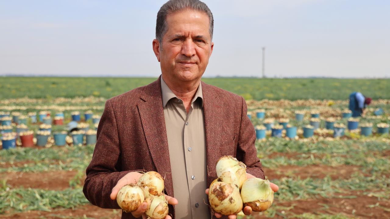 "Depolarda 50 bin ton kışlık soğan var"