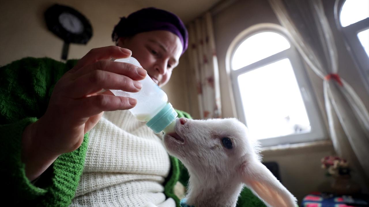 "Biberonu gördükleri anda zıp zıp zıplıyorlar"