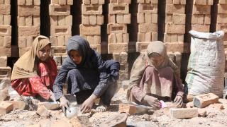 Nangarhar'ın tuğla ocaklarında çocuk işçiliği artıyor