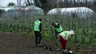 Bursa Orman Fidanlığında 65 yıllık tecrübeyle yılda 2 milyonu aşkın fidan üretiliyor