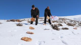 Doğu Anadolu'da yaban hayvanları için kış sezonunda 14 ton yem bırakıldı