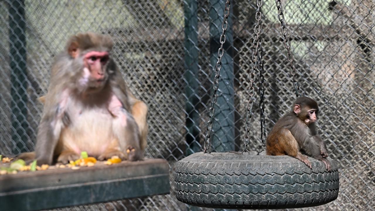 "Şu an sağlığıyla ilgili bir sıkıntısı yok"