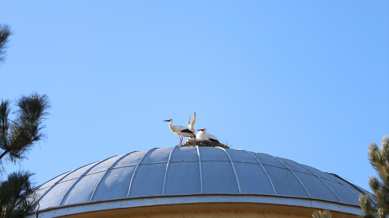 "Sürekli gözümüz onu arıyor"