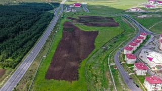 Ardahan Üniversitesi 13 bin yıllık ata tohumu kavılca buğdayını yeniden yeşertti