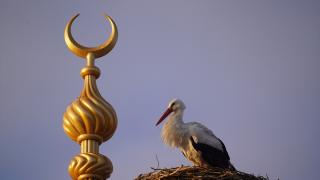 Bayburt'taki yuvasından 23 yıl sonra ayrılan "Vefalı" leylek geri döndü