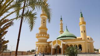 Senegal'in renkli camileri göz dolduruyor