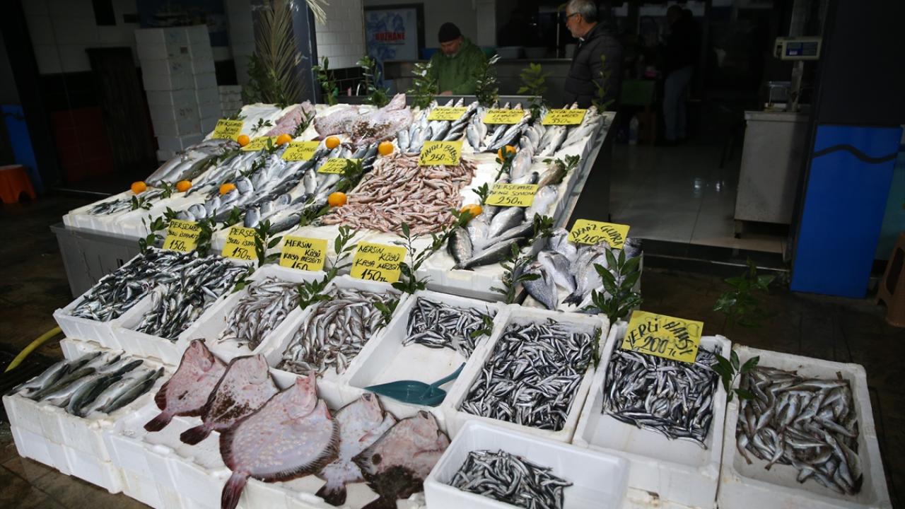 "Vatandaş ucuza palamut tüketebildi"