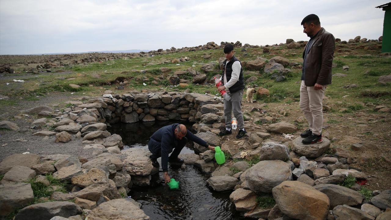 "Dicle Nehri sisteminde yaşayan türler göç etmiş"