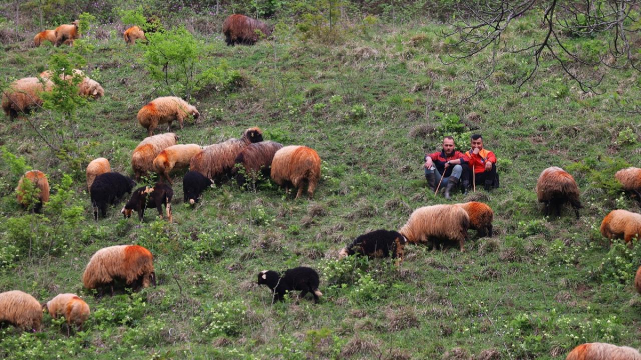 "Bütün derdi, çileyi unutuyorsunuz"