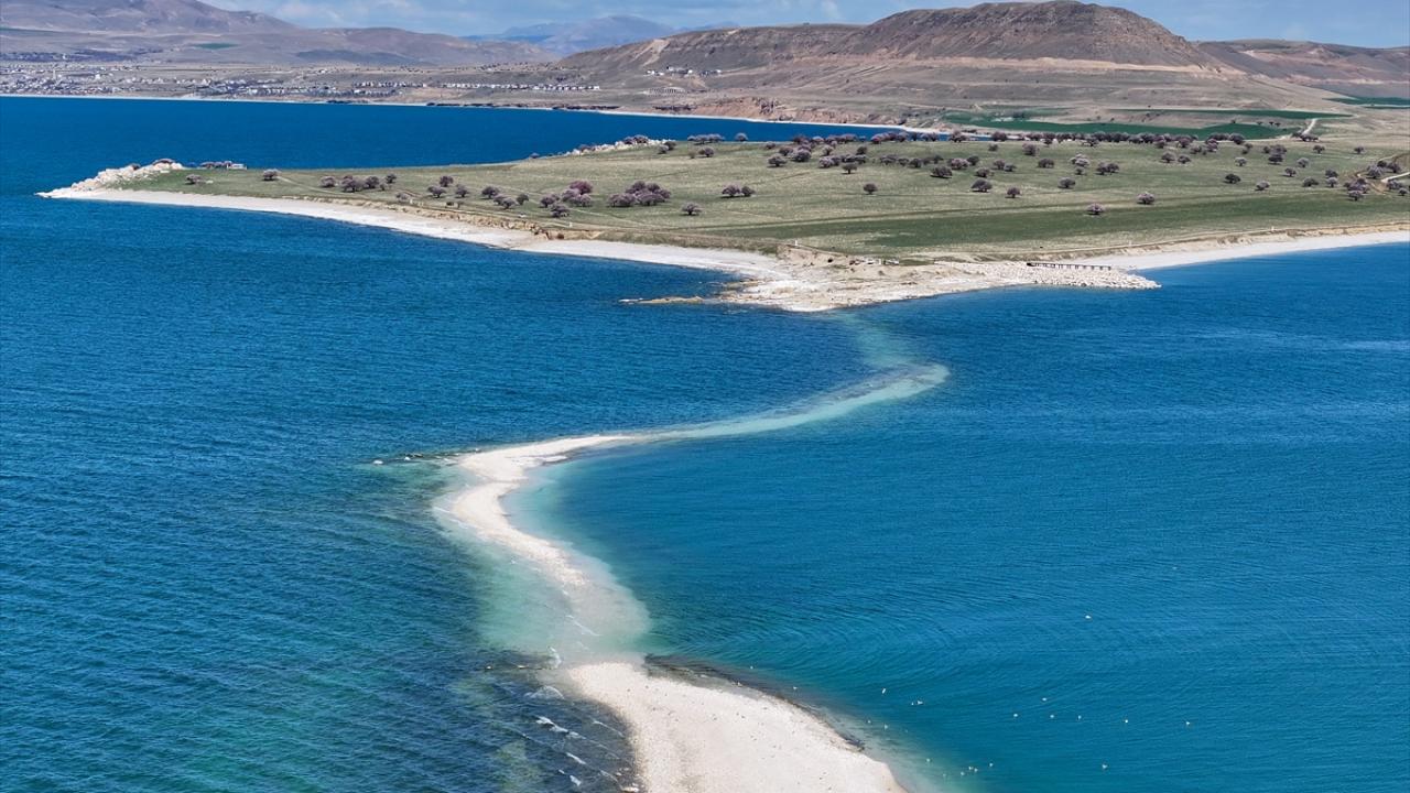 "At arabasının sığabileceği türden bir yolun inşa edildiğini görüyoruz"